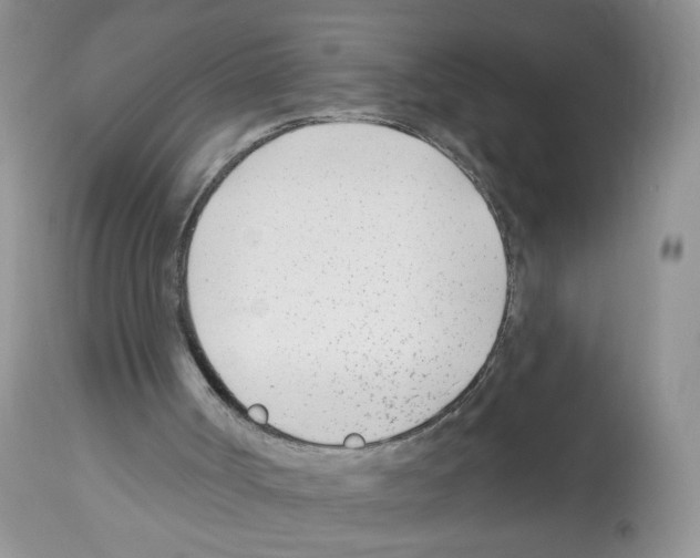 X0000112480002200909281120