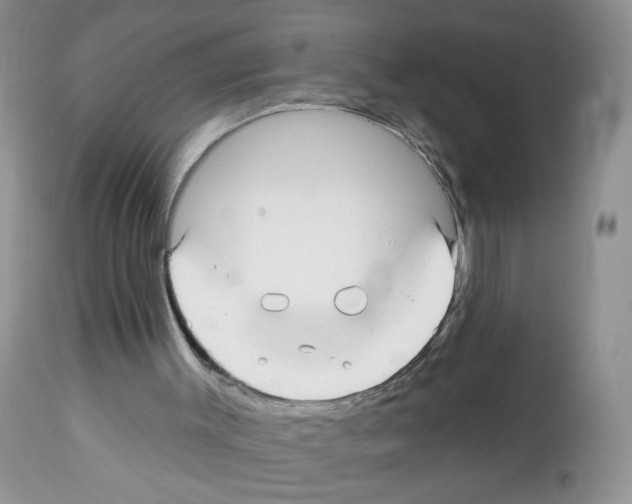 X0000112480003200909281120