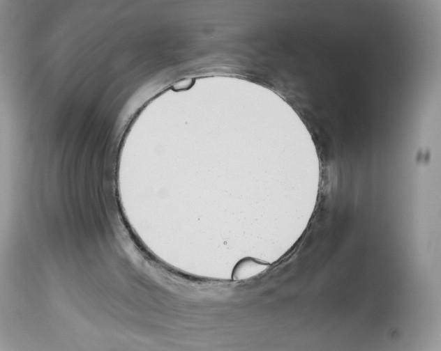 X0000112480004200909281120