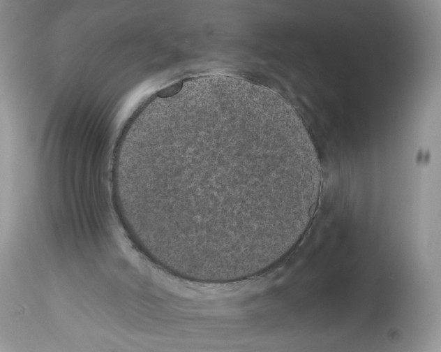 X0000112480006200909281120