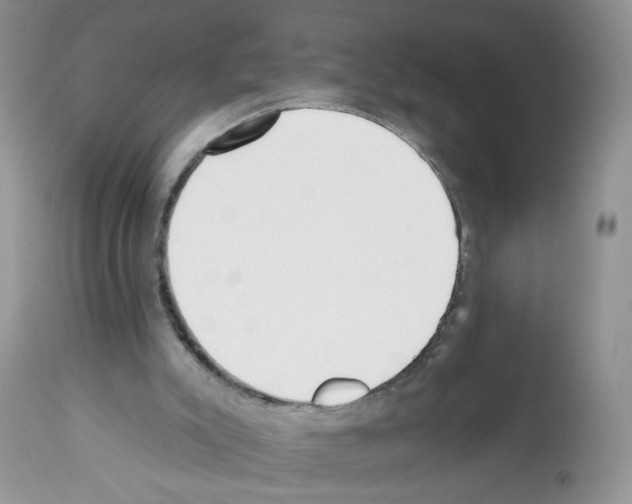 X0000112480007200909281120