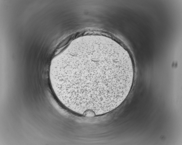 X0000112480009200909281120