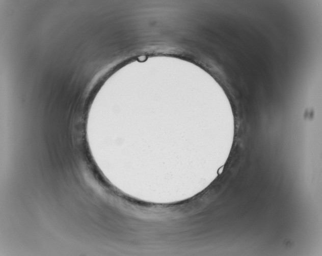 X0000112480012200909281120