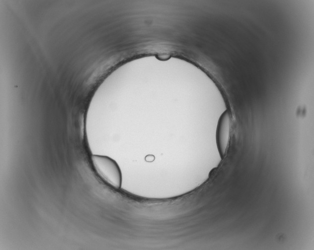 X0000112480013200909281120