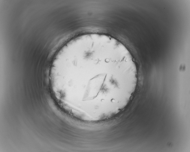 X0000112480014200909281120