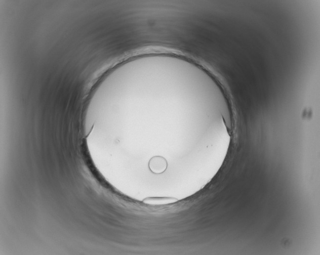 X0000112480015200909281120