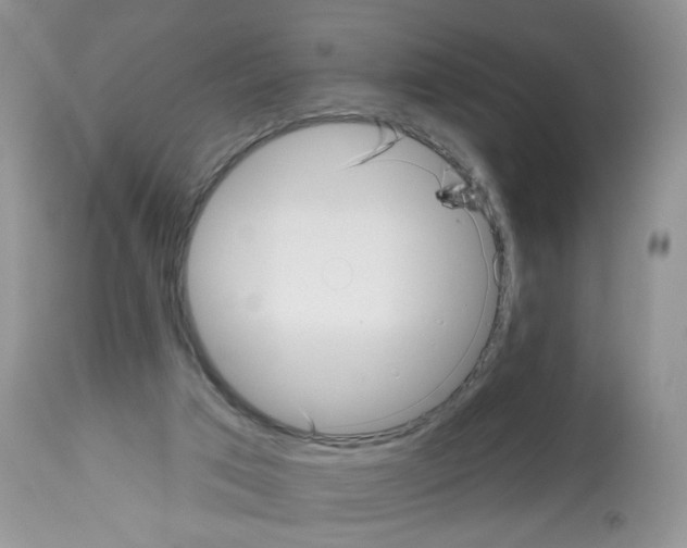 X0000112480017200909281120