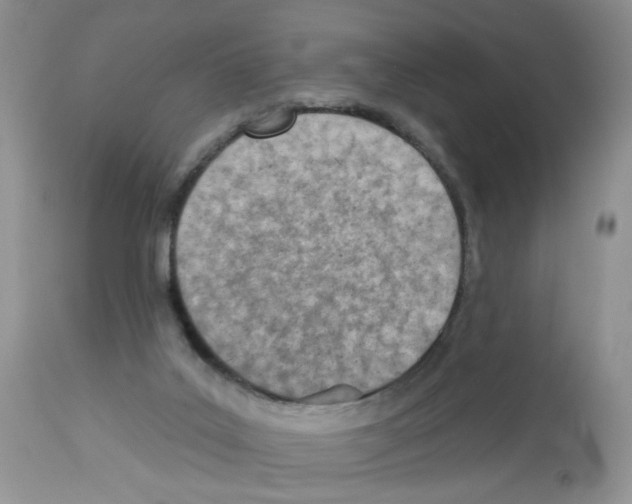 X0000112480019200909281120