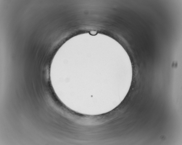 X0000112480020200909281120