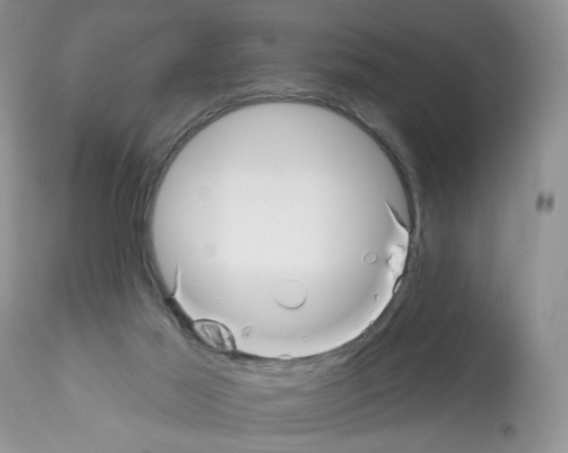 X0000112480021200909281120