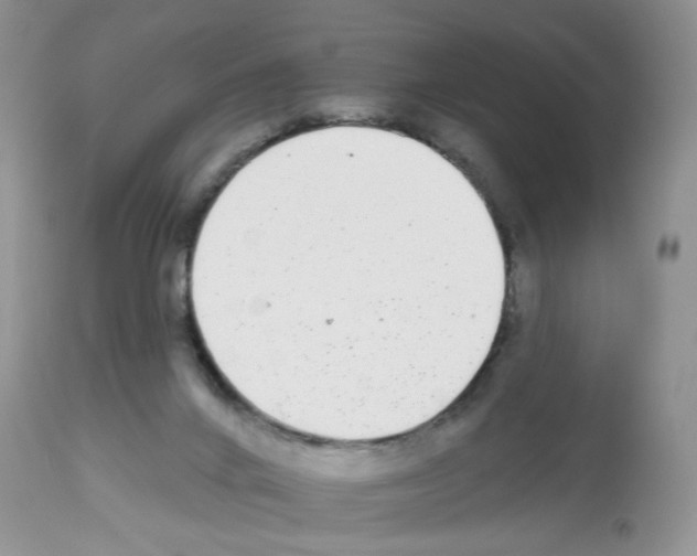 X0000112480024200909281120