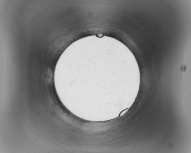 X0000112480025200909281120