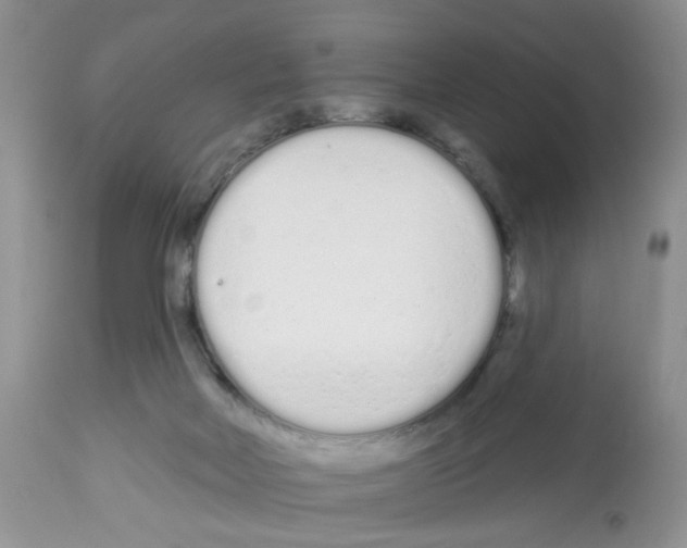 X0000112480026200909281120