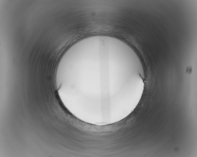 X0000112480027200909281120