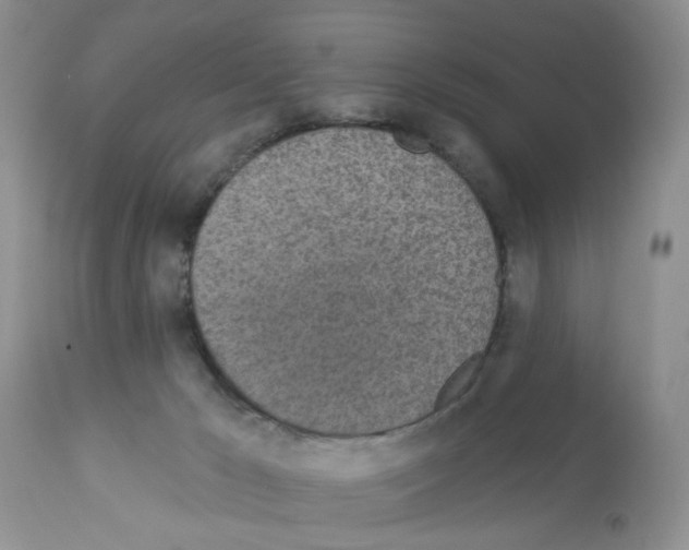 X0000112480029200909281120