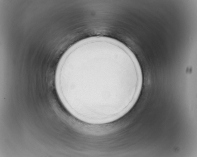 X0000112480030200909281120