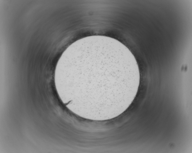 X0000112480032200909281120