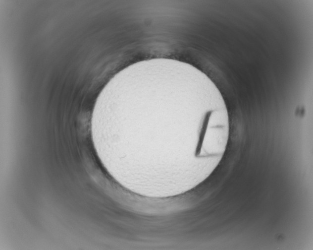 X0000112480034200909281120