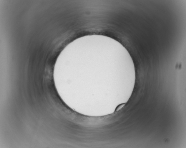 X0000112480037200909281120