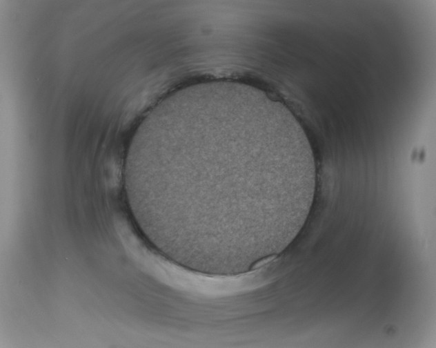 X0000112480039200909281120