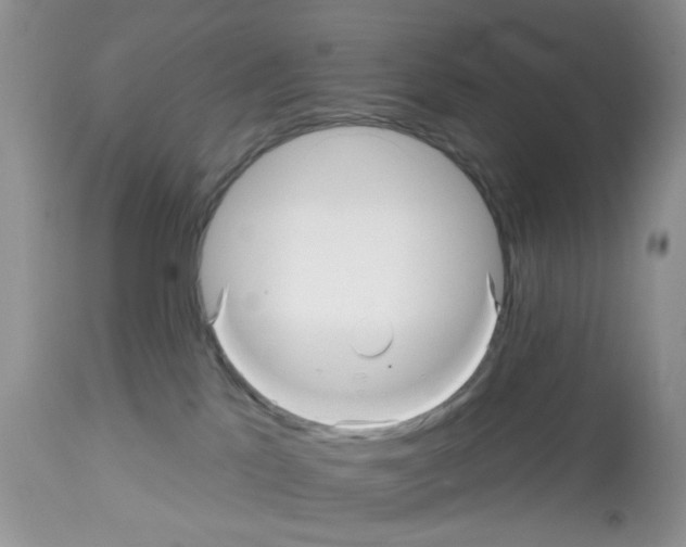 X0000112480041200909281120