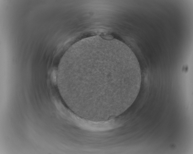 X0000112480042200909281120