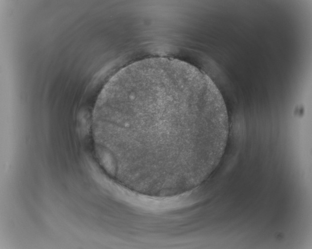 X0000112480043200909281120