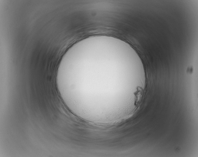 X0000112480045200909281120