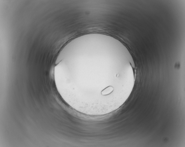 X0000112480047200909281120