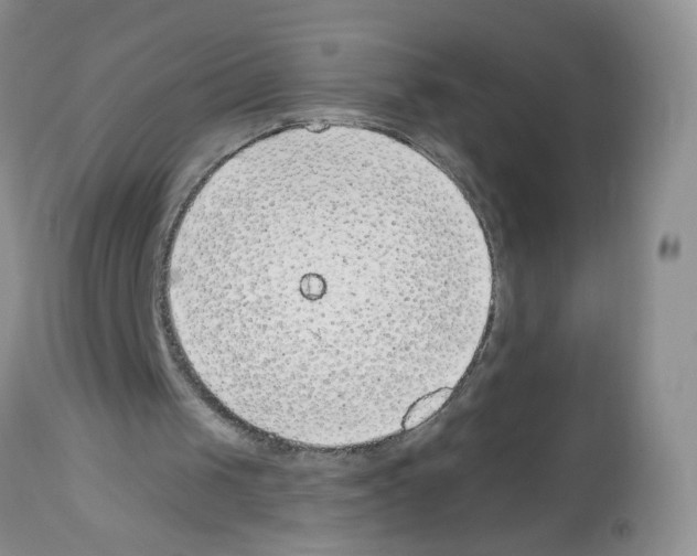 X0000112480049200909281119