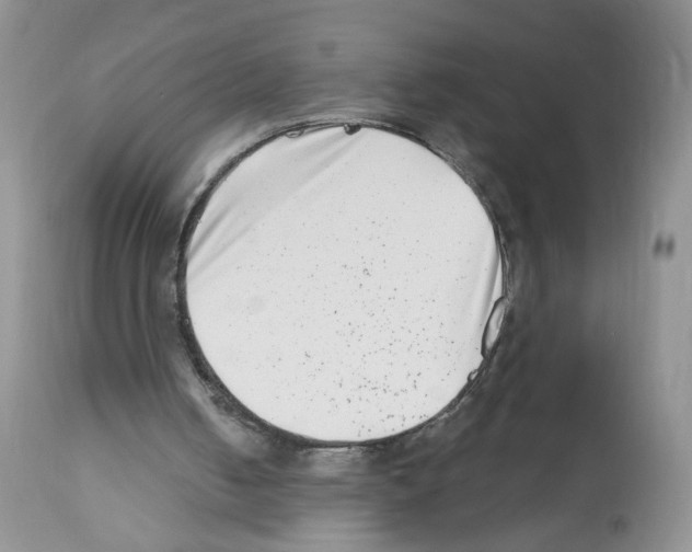 X0000112480050200909281119