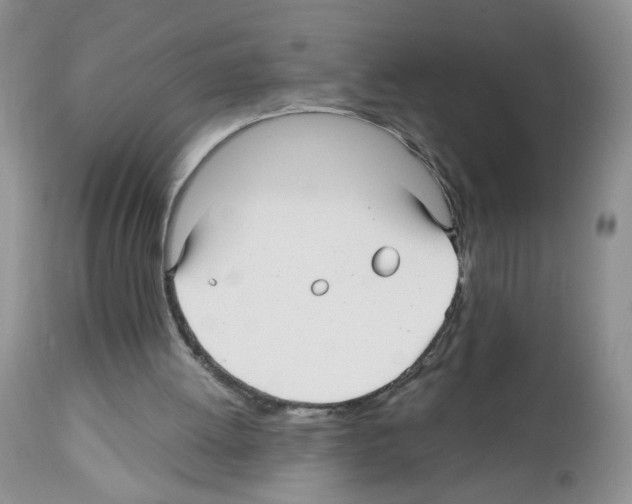 X0000112480052200909281119