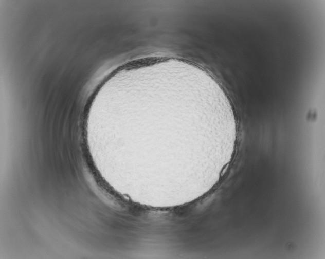 X0000112480055200909281119