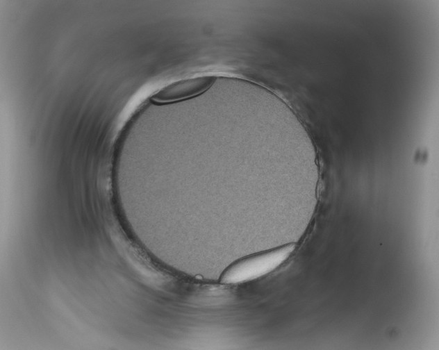 X0000112480056200909281119