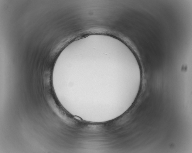 X0000112480057200909281119