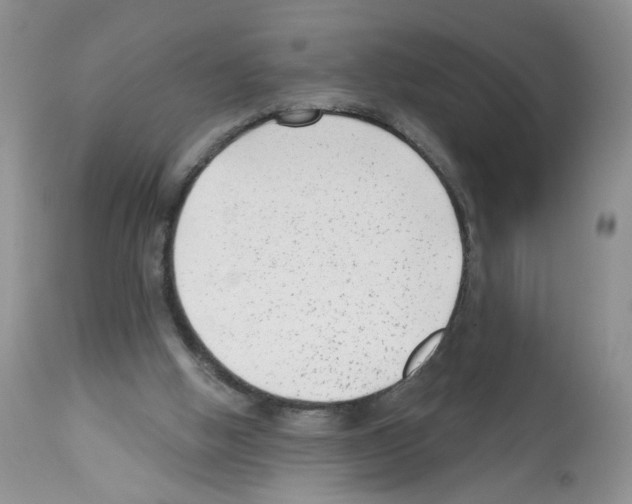 X0000112480058200909281119