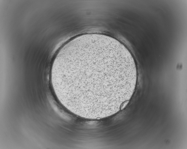 X0000112480059200909281119