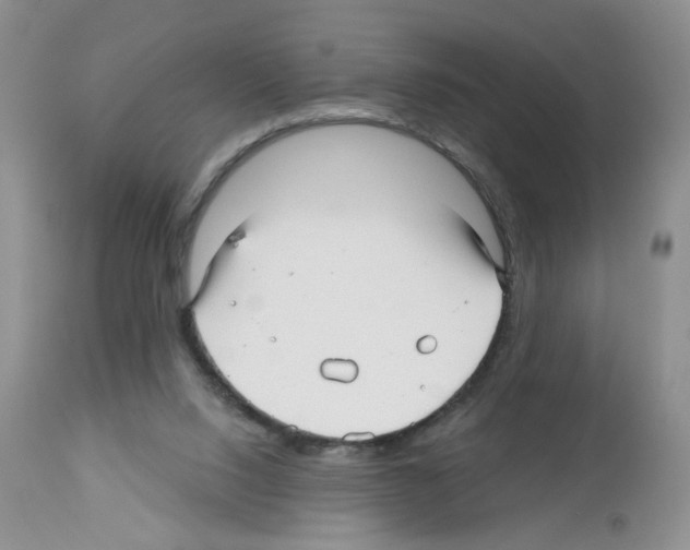 X0000112480064200909281119