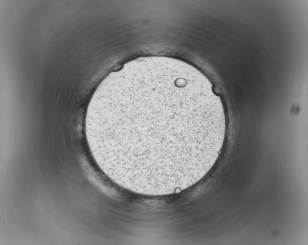 X0000112480065200909281119