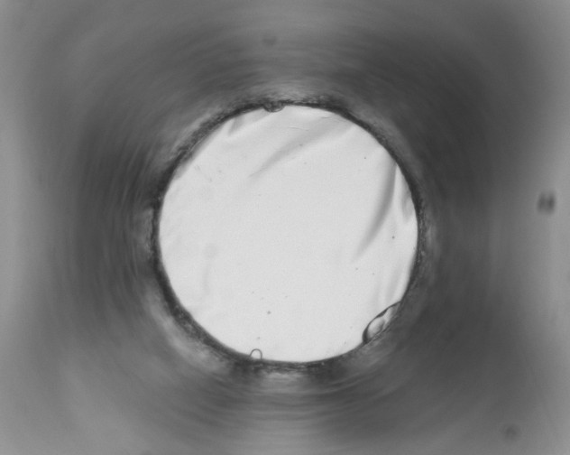 X0000112480066200909281119