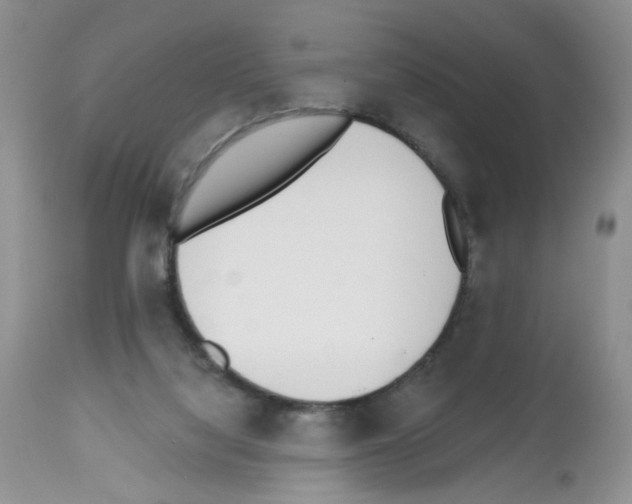 X0000112480068200909281119