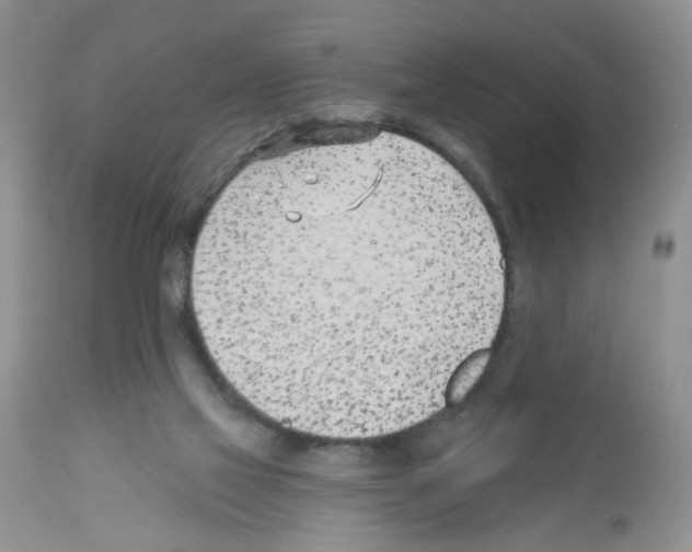 X0000112480069200909281119