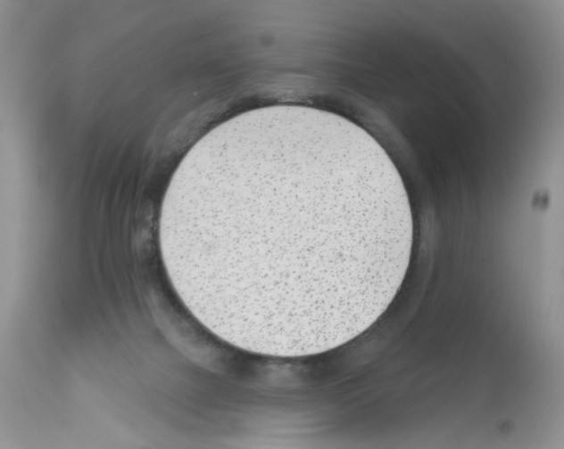 X0000112480073200909281119