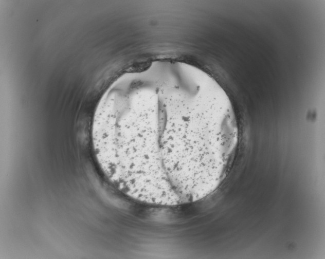 X0000112480074200909281119