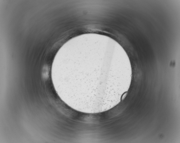 X0000112480075200909281119