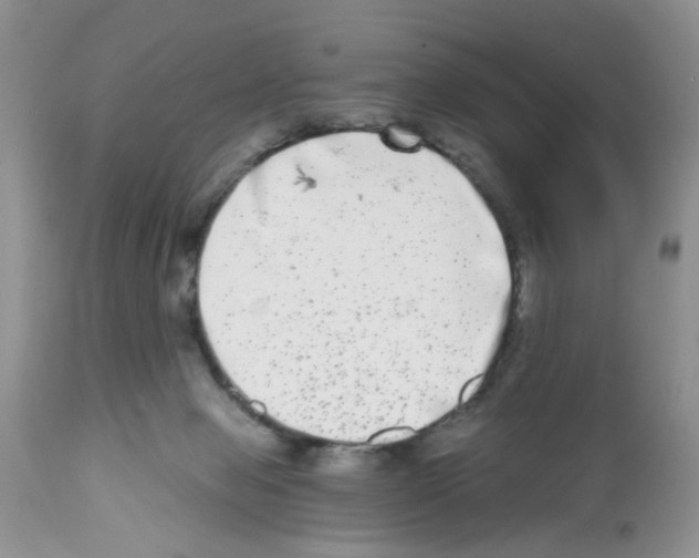 X0000112480077200909281119