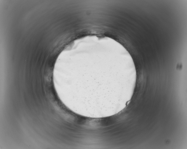 X0000112480078200909281120