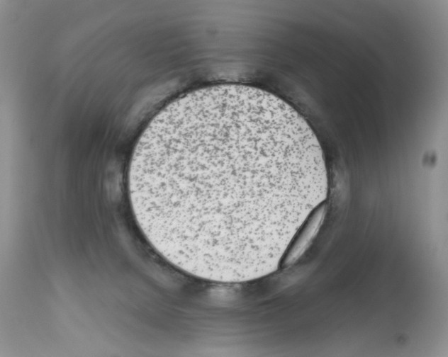 X0000112480080200909281120