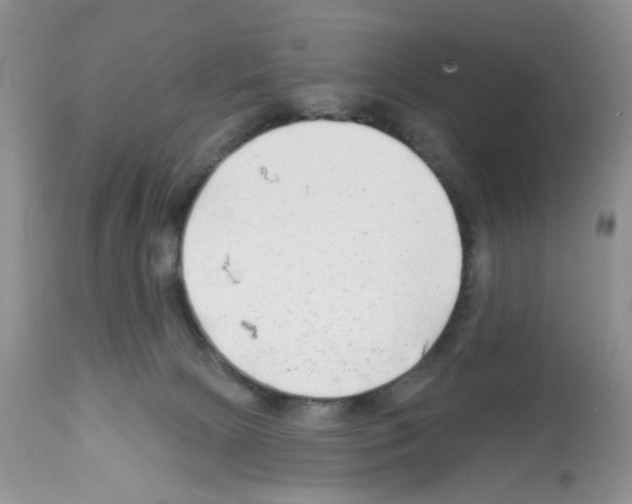 X0000112480081200909281120