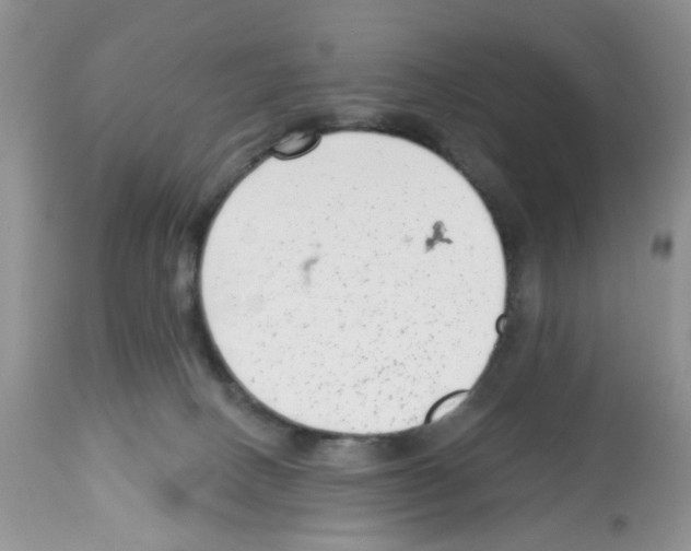 X0000112480082200909281120